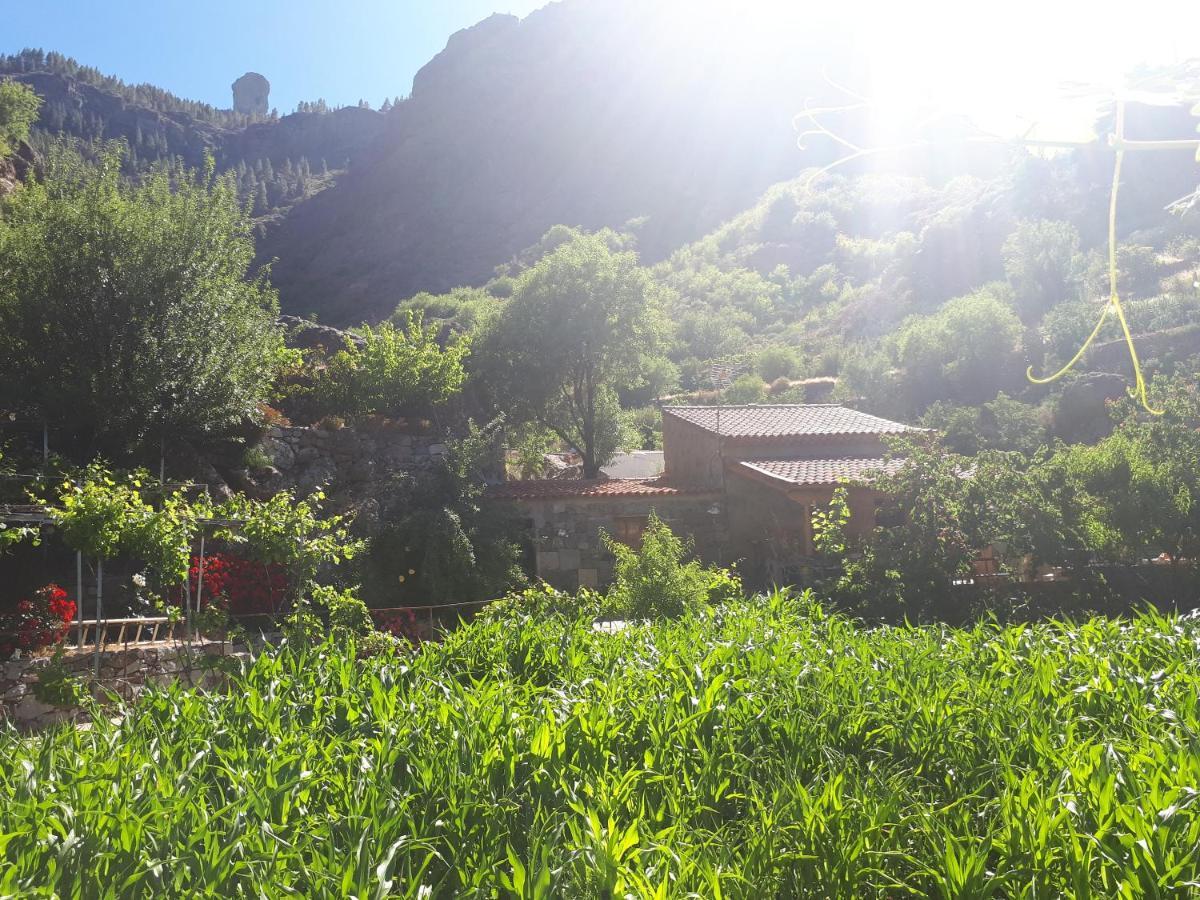 Villa Casita el Parral Tejeda  Exterior foto